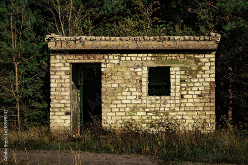 abandned small house in the forest