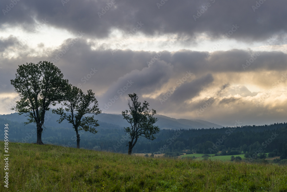 Obraz premium Bieszczadzki świt, Letni poranek w Bieszczadach