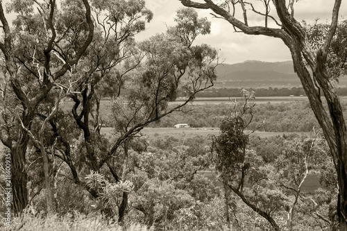 Sepia toned view of farm seen through trees on the Atherton Tableland in Queensland, Australia photo