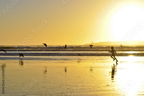 Scenic coastal view with a kid chasing a row of flying seagulls at sunset 