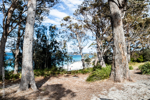 hyams beach photo