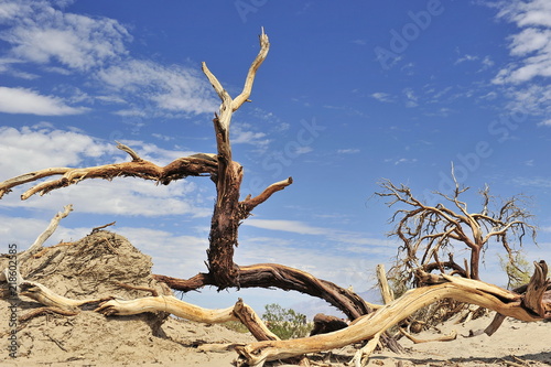 USA. Desert in the Death Valley.