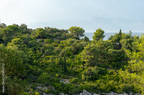 Beautiful landscape in Croatia. © photoexpert
