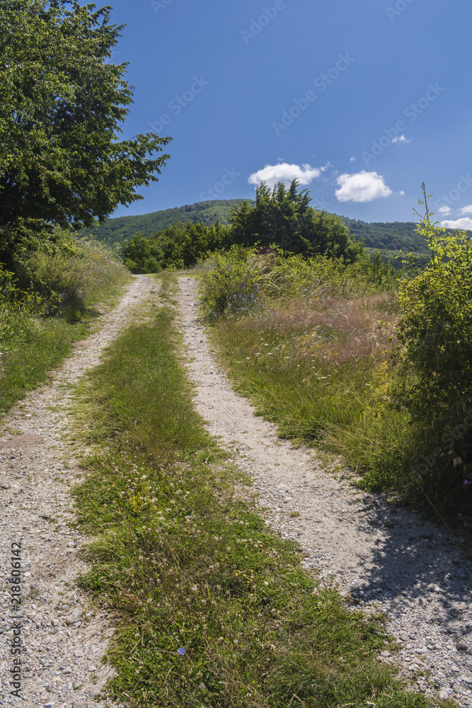 Beautiful mountain view from the Troyan Pass. Troyan Balkan is exceptionally picturesque and offers a combination of wonderful mountain scenery, fresh air, abundant healing mineral springs.