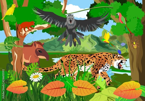 Jungle scene vector illustration with Eagle harpy, parrots, butterflies, exotic plants, jaguar, monkey, tapir rainforest fauna, vector illustration