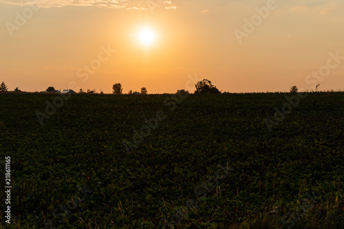 Sonnenuntergang bei einem Feld