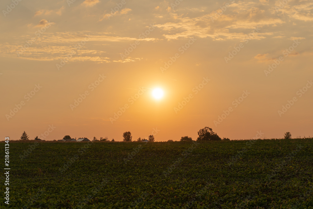Sonnenuntergang bei einem Feld