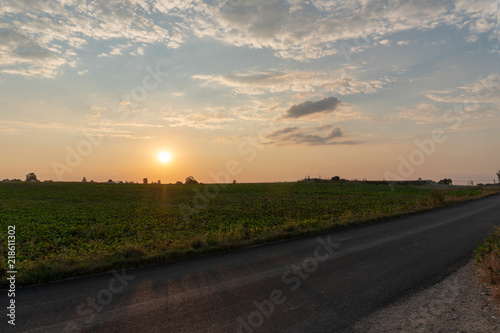 Sonnenuntergang bei einem Feld