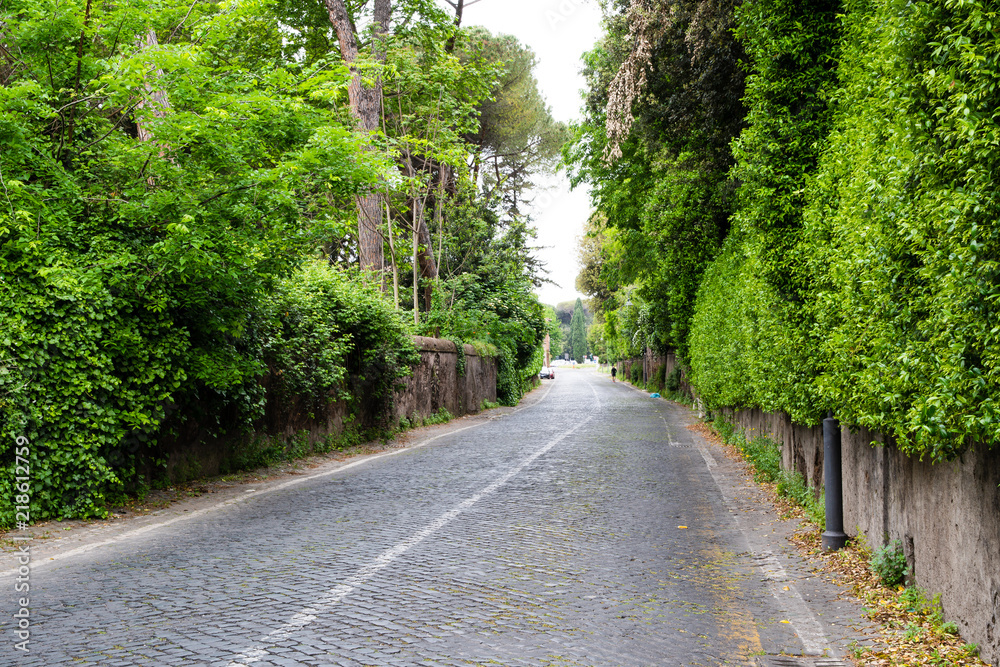 Obraz premium アッピア街道（ローマ、イタリア）ー古代ローマの幹線道路