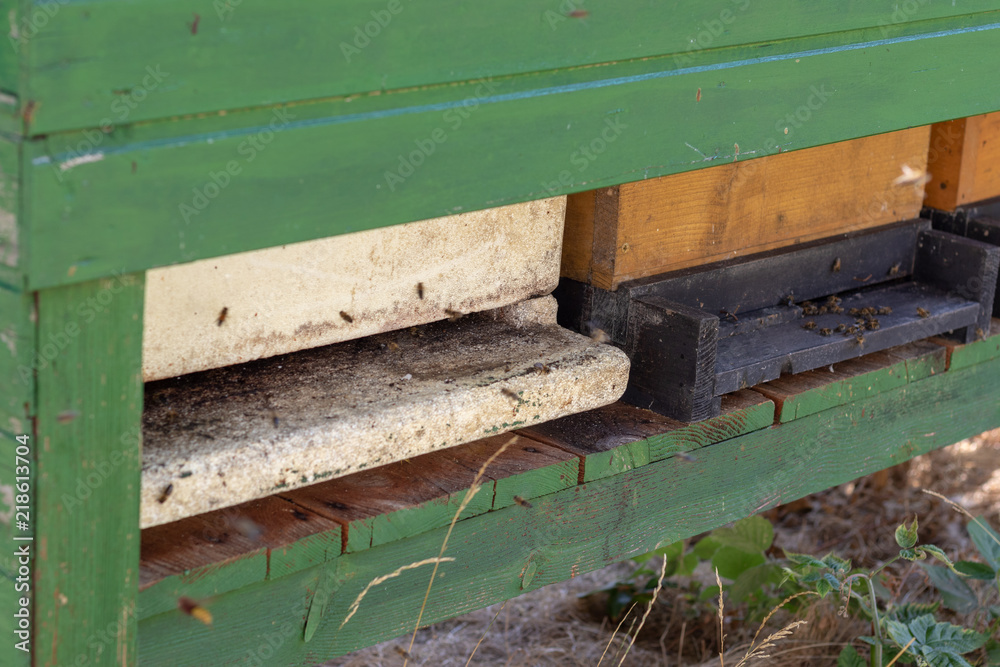 Bees flying in front of bee boxes in summer Bees flying in front of bee boxes in summer