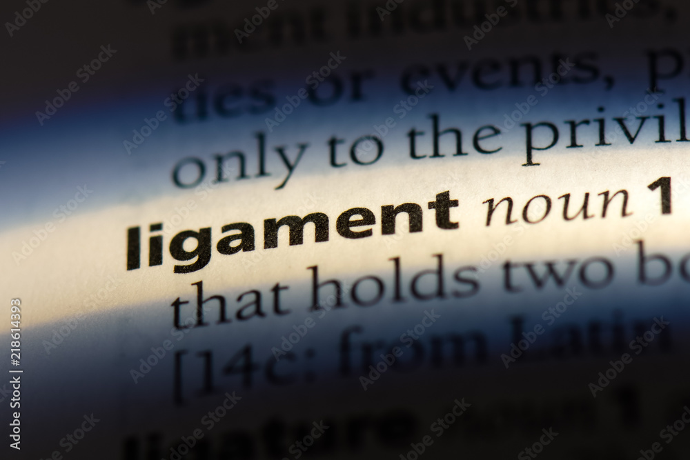 ligament ligament