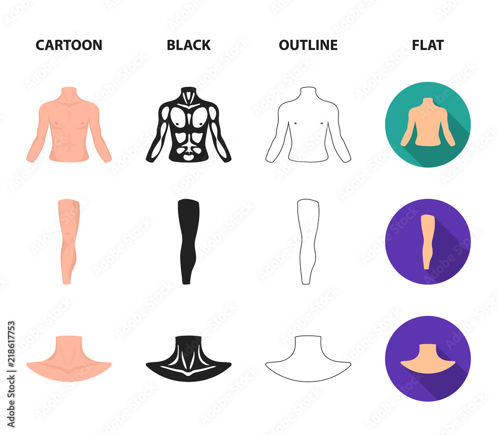 Torso, leg, neck and buttocks. Body parts set collection icons in cartoon ,black,outline,flat style vector symbol stock illustration web. Stock  Vector | Adobe Stock