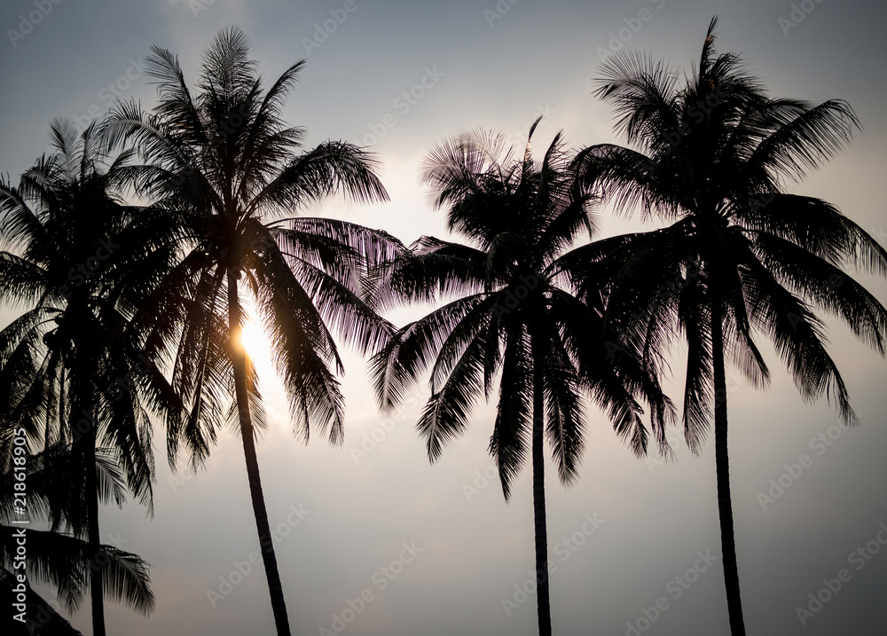 silhouette of coconut palm trees on sun set
