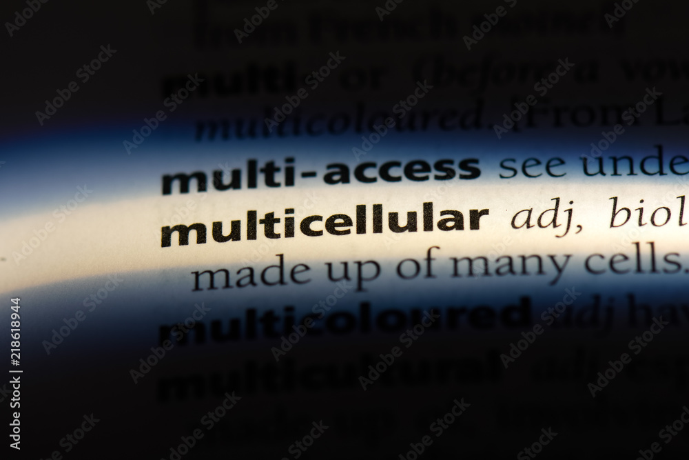multicellular multicellular