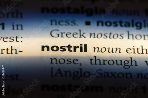 nostril