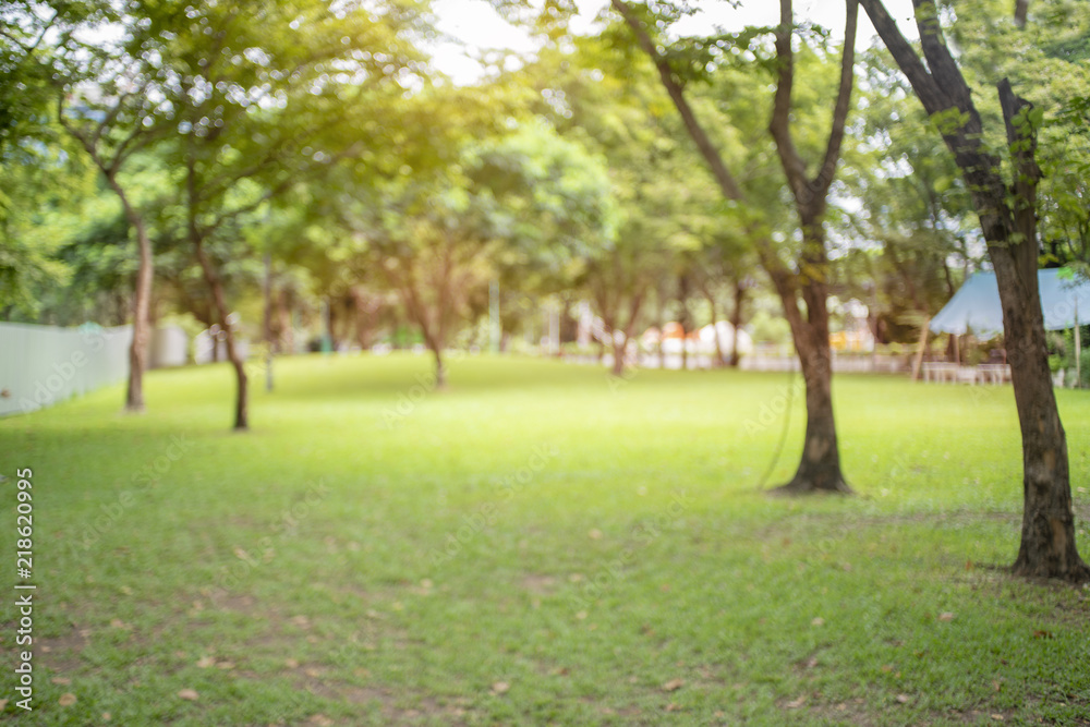 defocused bokeh background of garden trees in sunny day