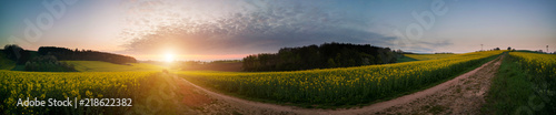 panorama rural summer landscape with a road