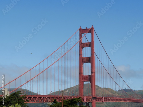 Golden Gate Bridge, San Francisco #218623546