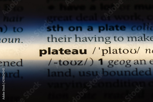 Cuadro en lienzo plateau