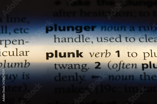 plunk photo