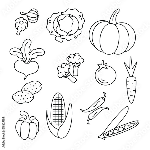 Vegetable related icons: thin vector icon set, black and white kit