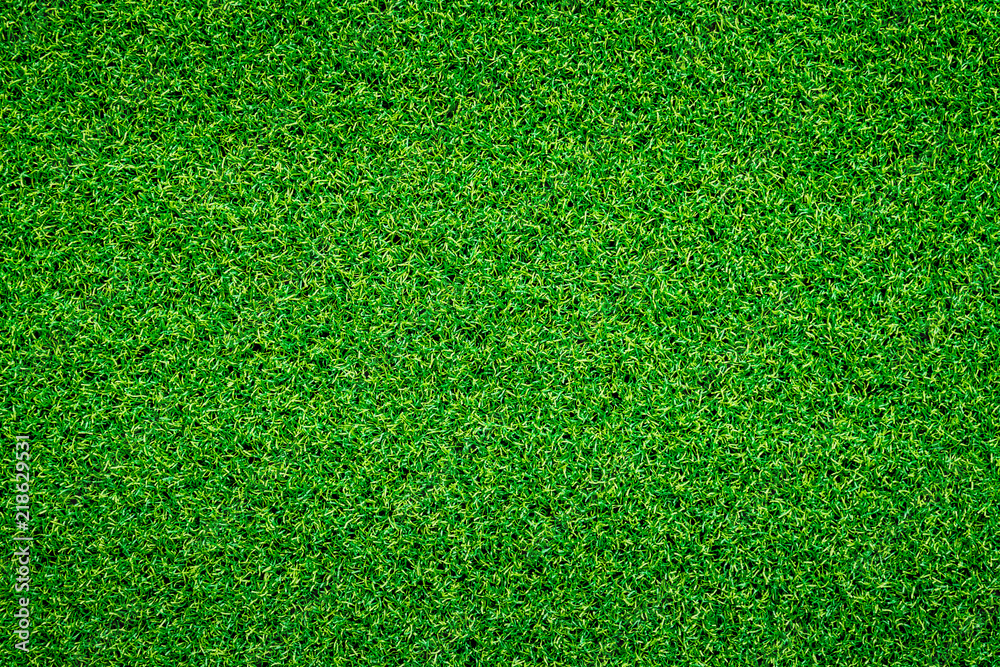 Fototapeta premium Green grass background