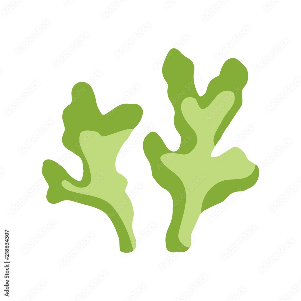 seaweed is isolated green. aquarium plant seaweed is isolated green. aquarium plant