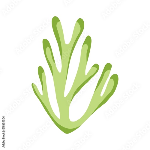seaweed in isolation. aquarium plant underwater element