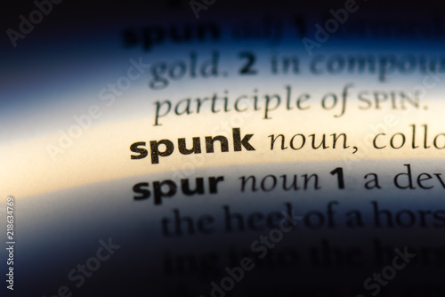 Bild auf Leinwand spunk