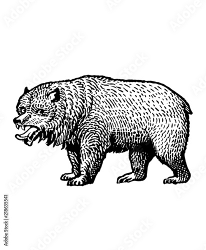 Bear illustration black and white (ID: 218635541)