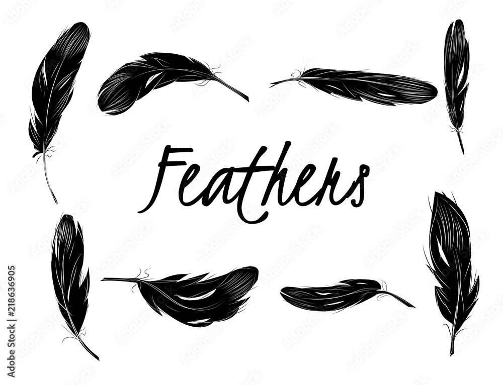 Set of isolated black feathers on transparent background in realistic ...