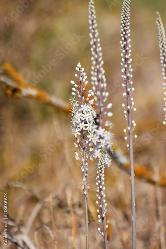 north Cyprus wild nature