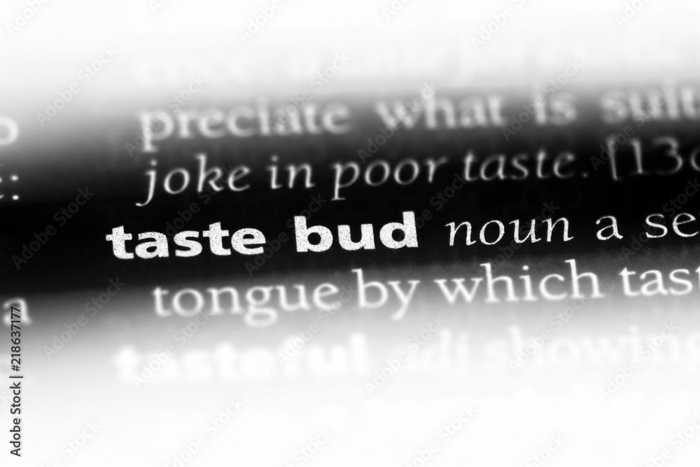 taste bud