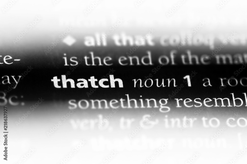 thatch thatch