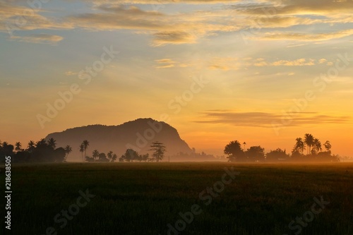 Landscape view of paddy fields coconut tree mountain during sunrise.