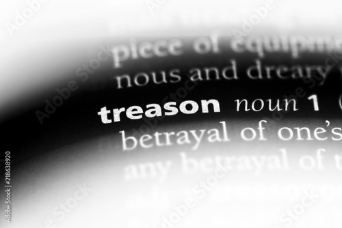 treason photo