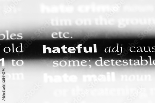 Εκτύπωση καμβά hateful