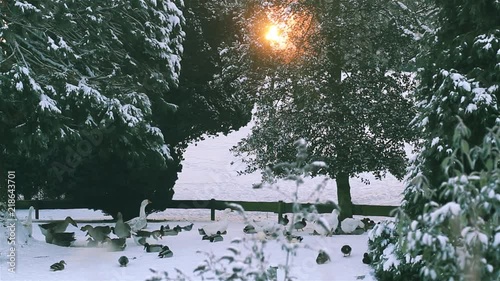 City park covered with snow after heavy snowfall photo