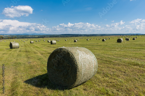 Bales field  Szekelyudvarhely area  Romania