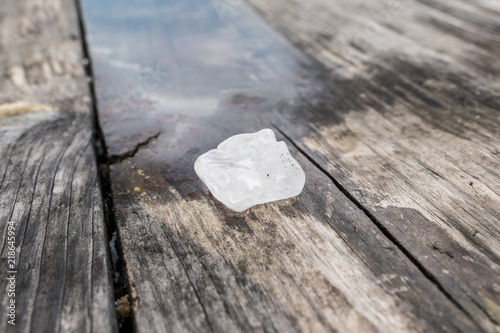 A large ice hail in the mountain, shot after a summer storm.
