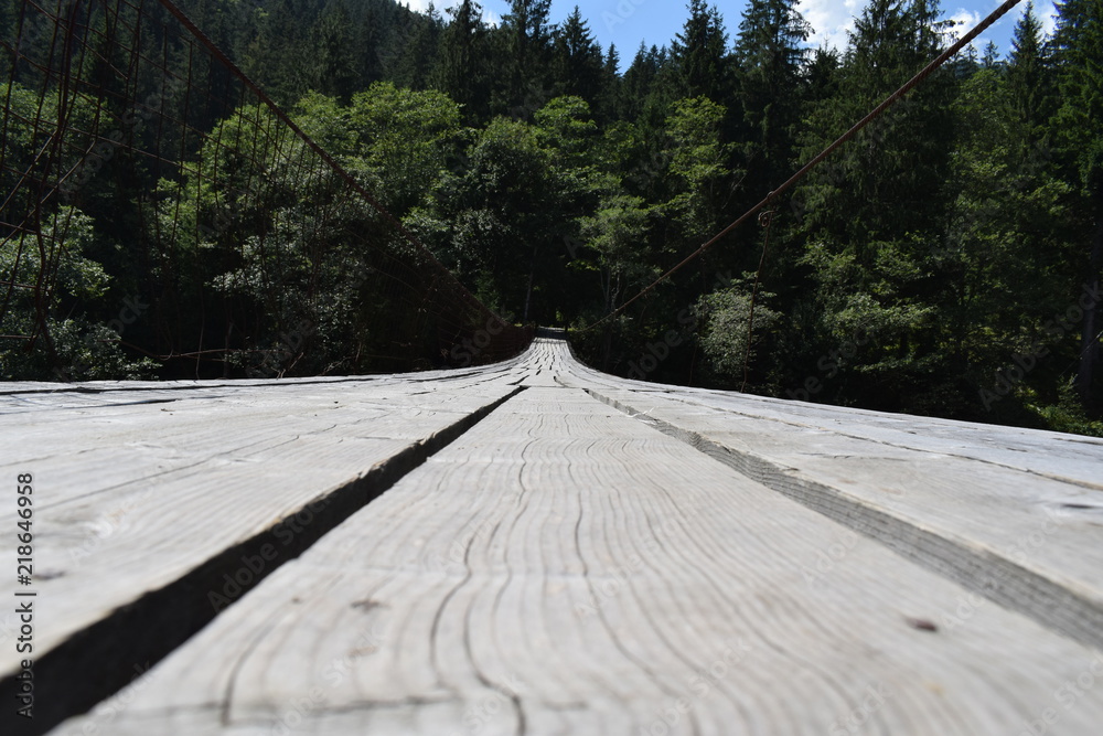 Fototapeta premium Bridge