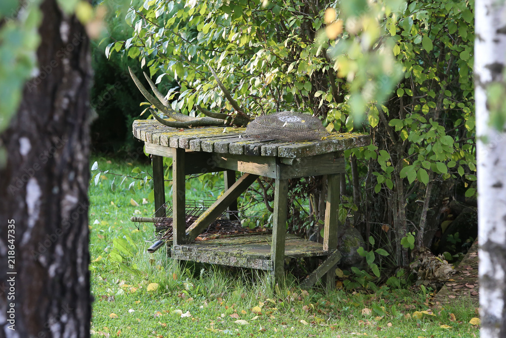 old, forgotten wooden table in the summer at the bush; On the table there is a deer hat and fishing tackle, grill accessories under the table old, forgotten wooden table in the summer at the bush; On the table there is a deer hat and fishing tackle, grill accessories under the table
