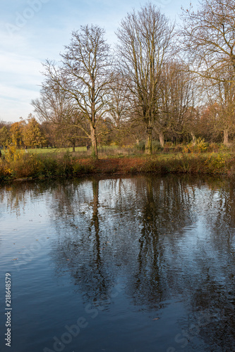 Trees and refletion in lake © rninov