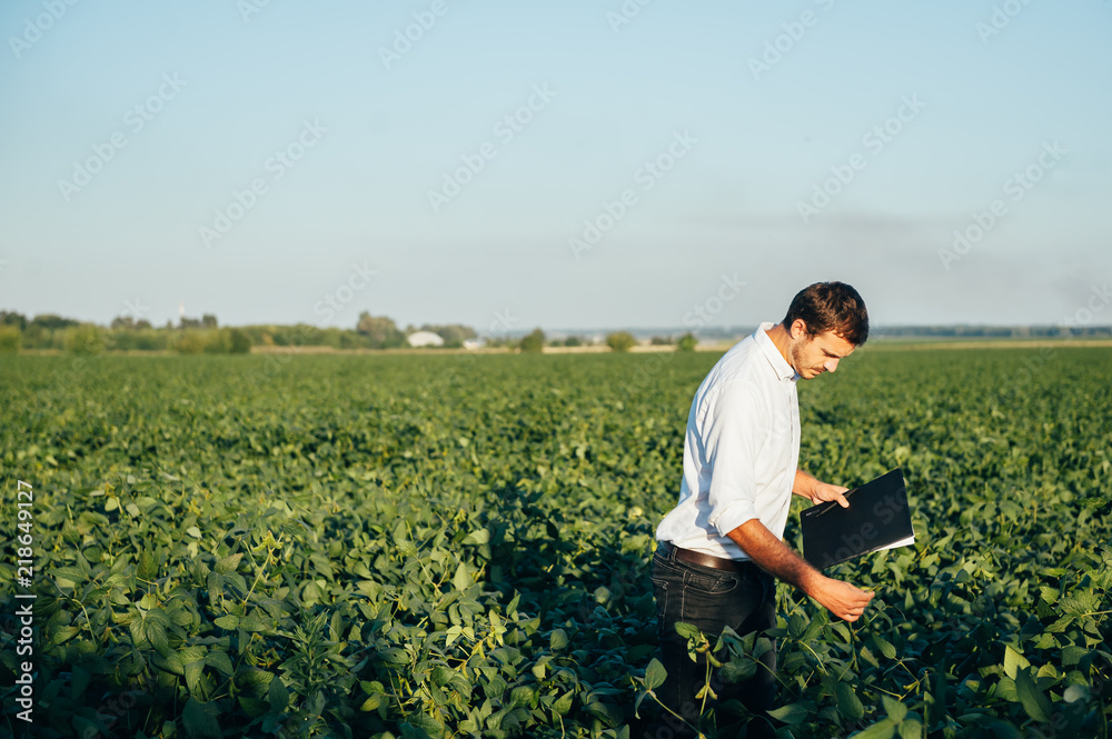 Yong handsome agronomist holds tablet touch pad computer in the corn field and examining crops before harvesting. Agribusiness concept. agricultural engineer standing in a corn field with a tablet