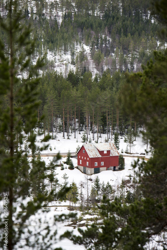 House in the forest