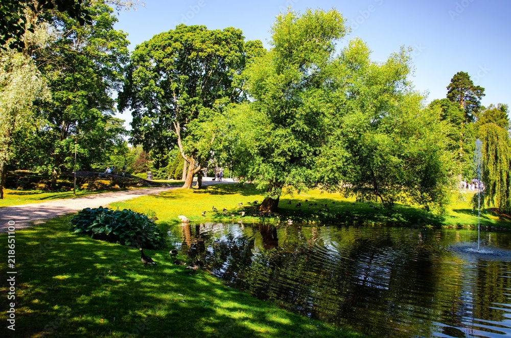 landscape. Park with a pond and a fountain