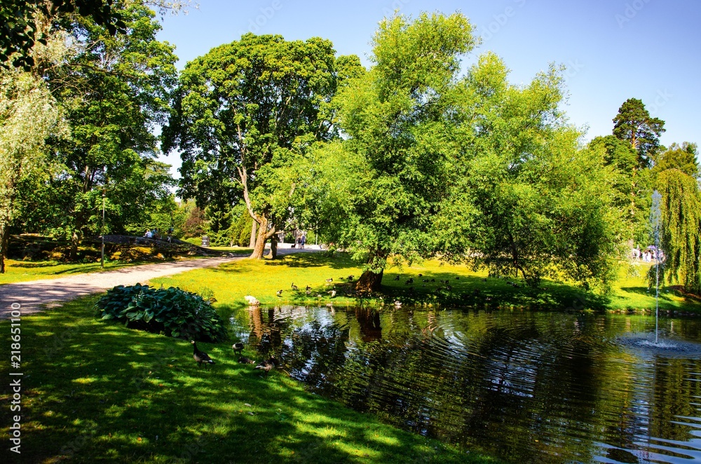 landscape. Park with a pond and a fountain landscape. Park with a pond and a fountain
