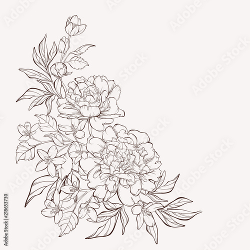 Blossoming peony flowers on white with wildflowers. Vector illustration. Perfect for background greeting cards and invitations of the wedding, birthday, Valentine's Day, Mother's Day. photo