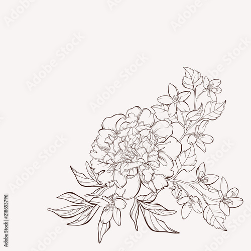 Blossoming peony flowers on white with wildflowers. Vector illustration. Perfect for background greeting cards and invitations of the wedding  birthday  Valentine s Day  Mother s Day.