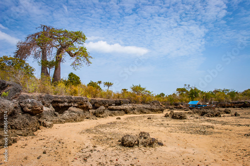Kenya. Africa. The coast of...